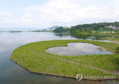 춘천 의암호 인공수초섬 이전 계획 놓고 '진실 공방'