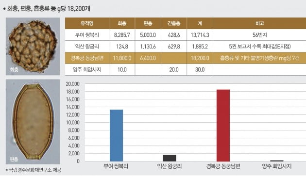 유적의 흙 1g당 기생충 알이 발견된 개수 비교. 문화재청 제공