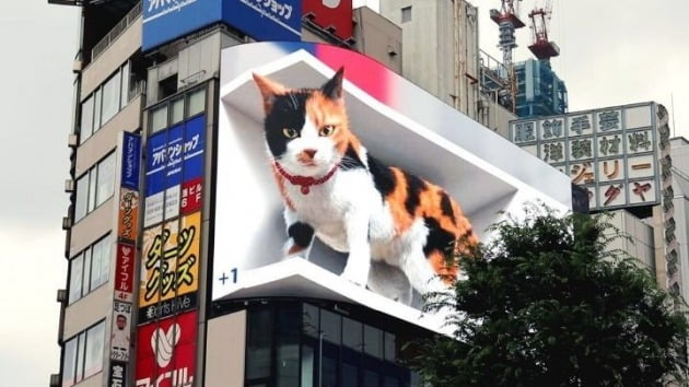 일본 신주쿠역 인근 한 건물에 설치된 3D LED 전광판에서 고양이의 모습이 나오고 있다. 트위터.