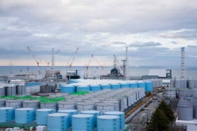 IAEA "일본 정부와 오염수 방류 관련 기술적 지원 범위 합의"