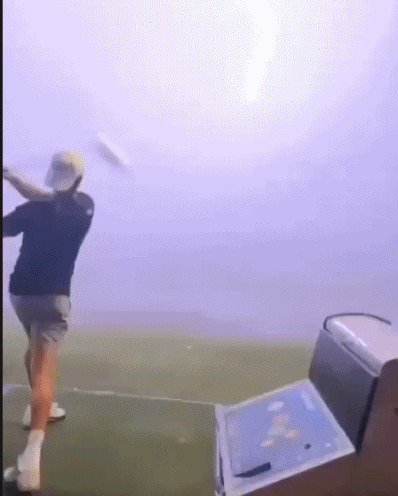 토마스 고메즈가 골프장에서 놀라운 경험을 하는 장면/사진=온라인 커뮤니티 