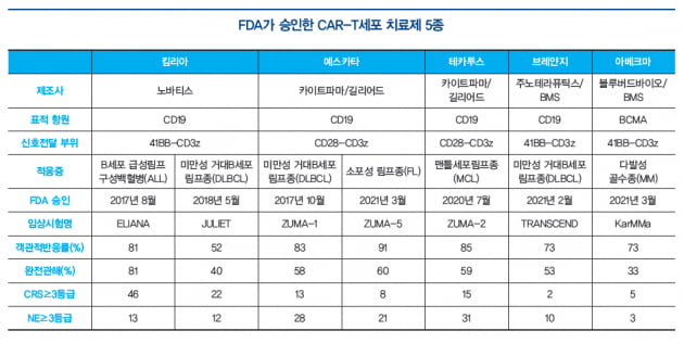 [도준상의 면역항암제 이야기] CAR-T 세포치료제의 성공