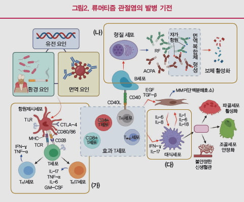 [Cover Story - part.1 Analysis] 자가면역질환은 왜 발생하는가