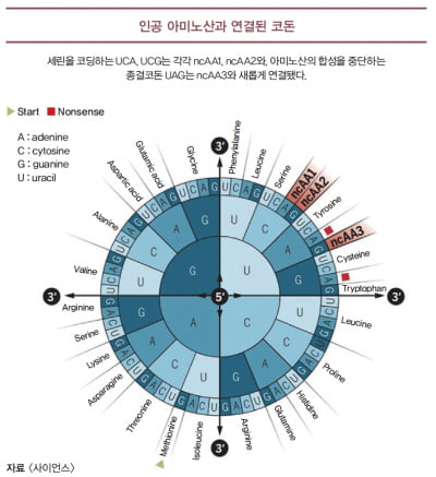 [과학에서 산업찾기] ‘아미노산 바꿔치기?’ 새로운 신약 개발법 제시돼