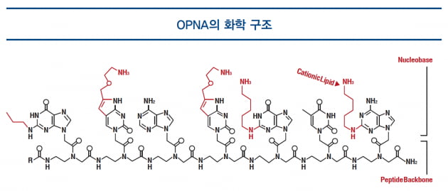 [파이프라인 아카이브] ❶ 올리패스 ‘OLP-1002’