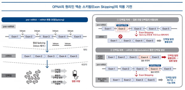 [파이프라인 아카이브] ❶ 올리패스 ‘OLP-1002’