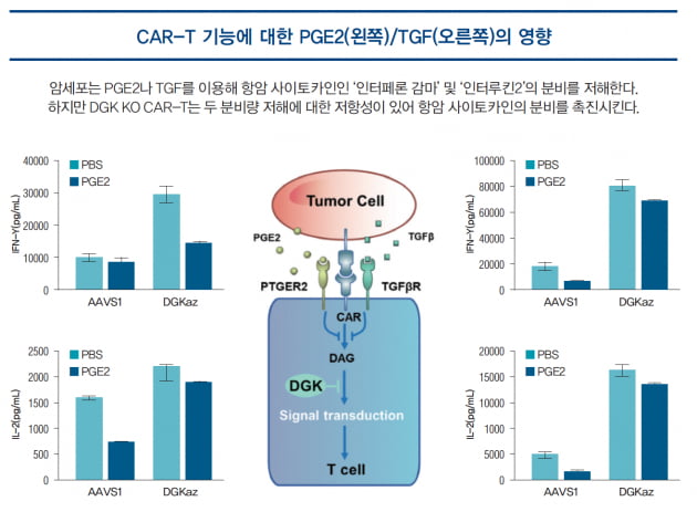 [파이프라인 아카이브] ❷ 툴젠 ‘CRISPR CAR-T’