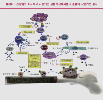  자가면역질환, 표적치료제와 TNF-α억제제부터 면역억제제·소분자 합성약까지