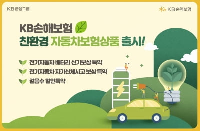 KB손보, 친환경 車 보험 내놓는다…"ESG 경영 선도"