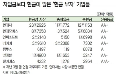 현금부자 기업들의 채권 발행 러시