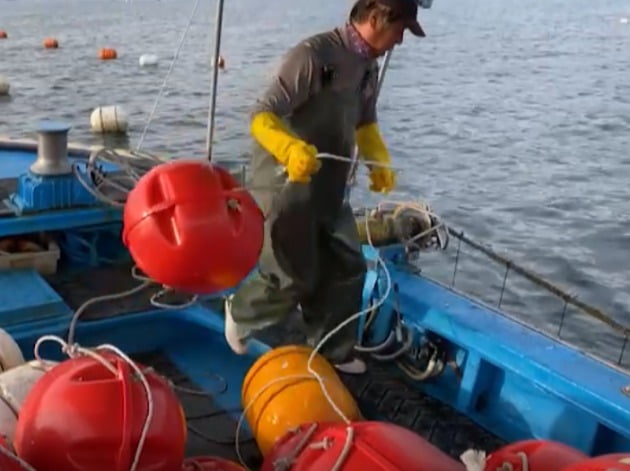 경남 거제도 인근 해안에서 어민이 NPC의 친환경 부표를 설치하고 있다.