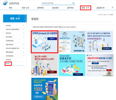 금감원,'사업보고서 작성시 유의사항' 비대면 공시설명회 개최
