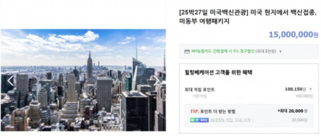 사진 = 해당 여행사 홈페이지 