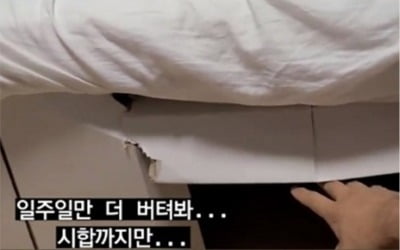 결국 찢어진 '골판지 침대'…"버텨줘" 한국 메달 기대주의 호소