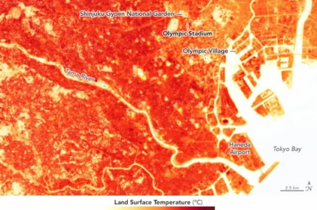 도쿄 시내가 폭염에 붉은 빛을 띄고 있다. 사진=NASA 지구천문대 갈무리