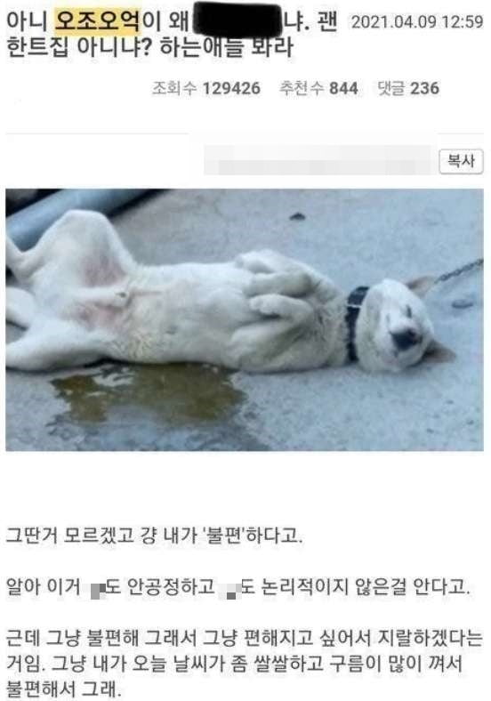 /사진=온라인 커뮤니티 캡처