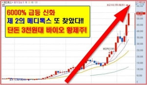 5년에 한 번 오는 기회! 이재용 부회장 특별사면, 인텍플러스 복사판 종목!