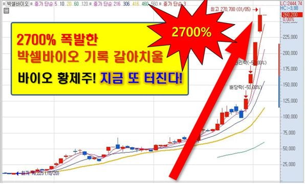 7월! 반드시 주목해야될 Best 종목!!