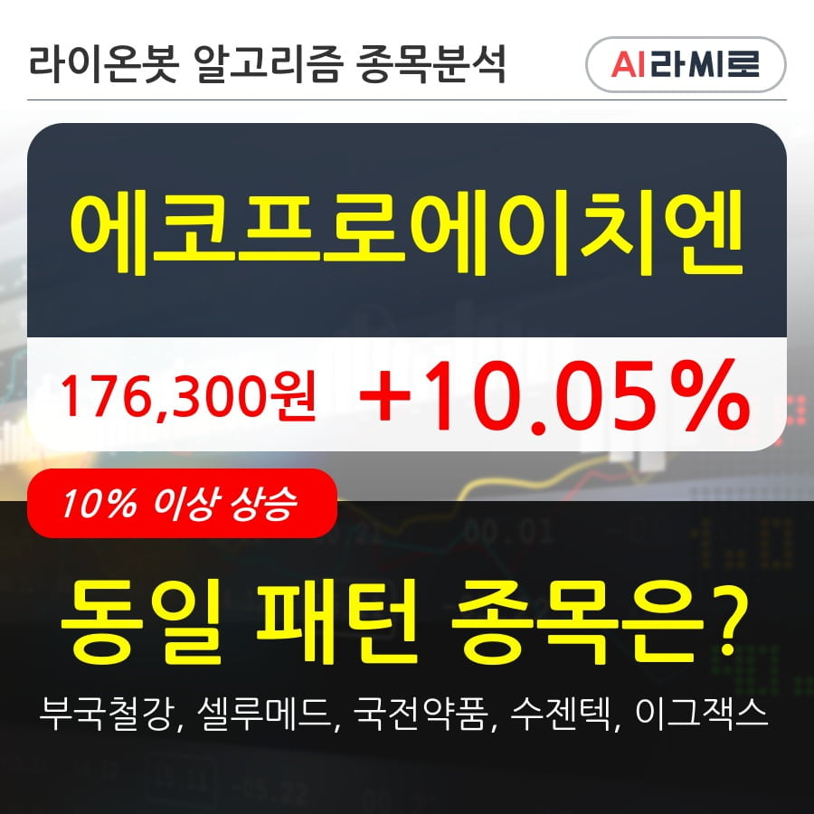 에코프로에이치엔