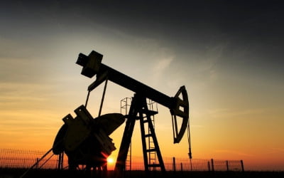 [속보] OPEC+, 원유증산 합의…UAE와 극적 타결