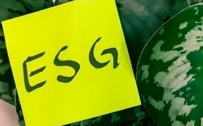 "ESG가 뜬다"…아직 안오른 ESG 종목은 OOO