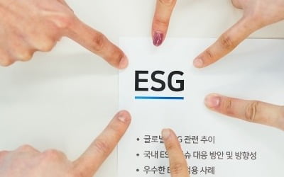 이사회 '복붙'하고 의결 기능 없는 ESG위원회..."실효성 높여야"