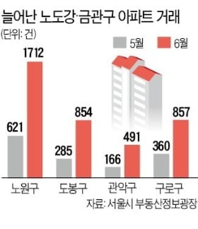 노도강·금관구까지 번진 '패닉 바잉'. 사진=한경DB