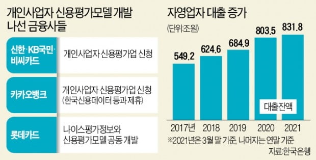 "자영업 신용평가 틀 만들어 800조 대출 잡자"