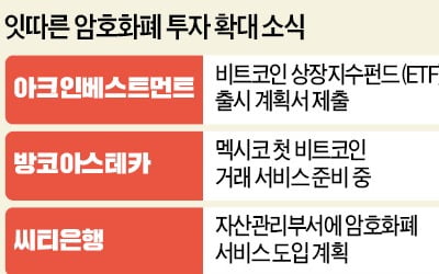 암호화폐 내치는 정부 vs 베팅 판 키우는 큰손