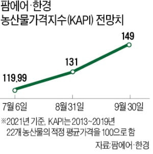 30년 만에 가장 비싼 밥상물가…장마 뒤엔 무·양파값 더 오른다