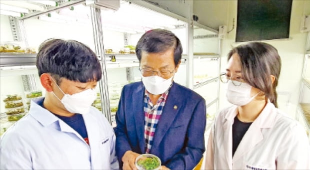 식물 이용한 코로나 백신 '눈앞'…한국도 '그린 백신' 개발 속도