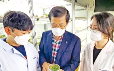 식물 이용한 코로나 백신 '눈앞'…한국도 '그린 백신' 개발 속도