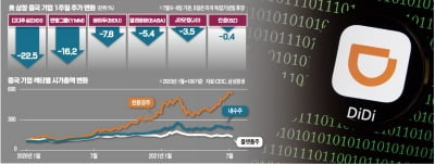 디디추싱 쇼크…흔들리는 카지노 사이트 플랫폼주