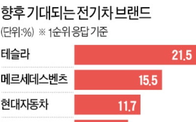 '타고 싶은' 전기차는 단연 테슬라