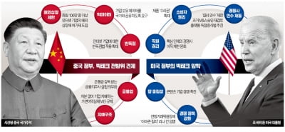 "빅테크, 나대지마"…틱톡 '中 정부 호출' 받자 해외상장 포기