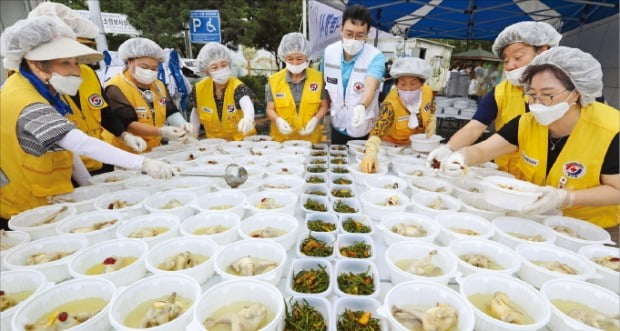 [포토] 적십자 삼계탕 나눔 봉사  