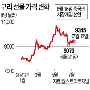 "원자재값 잡겠다"던 中…시장은 꿈쩍도 안했다