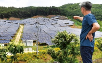 원전 공백 메우려 태양광·풍력 '과속'…산도 바다도 멍들었다