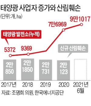 원전 공백 메우려 태양광·풍력 '과속'…산도 바다도 멍들었다