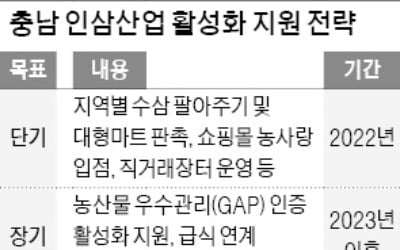 충남 "인삼 유통망 체질 개선, 온라인 쇼핑몰 입점도 돕겠다"