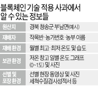 블록체인 입은 청송사과, 판매 '껑충'