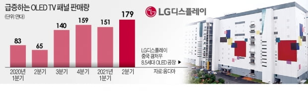 LG디스플레이, OLED TV 패널 판매 신기록