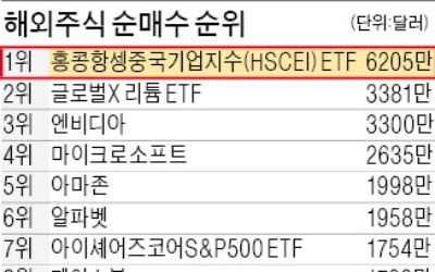 "조정은 기회"…홍콩H지수 ETF 쓸어담는 원정개미