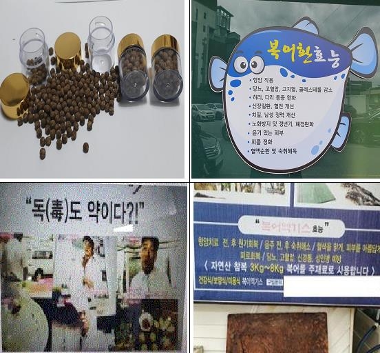 복어에 항암효과가?…식약처, 불법 제조·거짓광고 업체 적발