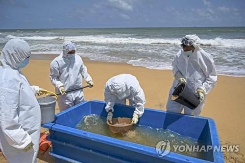 '선박 침몰' 후폭풍…스리랑카 고래·돌고래·거북 떼죽음