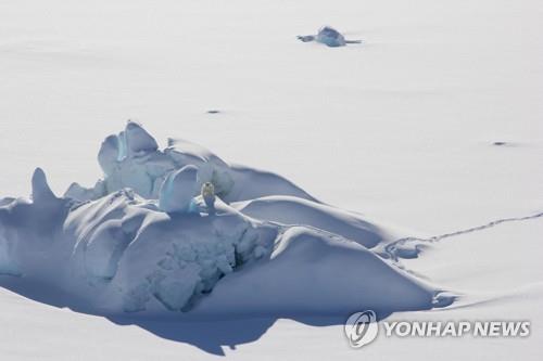 기후변화로 얼음·눈 덮인 '빙권' 매년 8만7천㎢씩 줄어