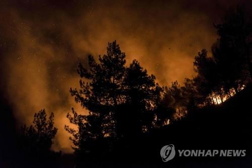 지구촌 곳곳이 폭염 사태…기후변화가 부른 대형위기