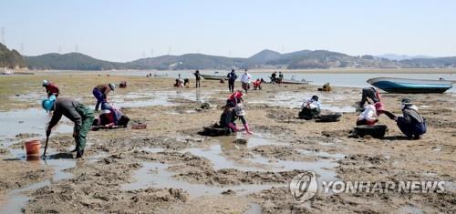 지난해 충남 태안 어촌마을 귀어인 161명으로 전국 1위