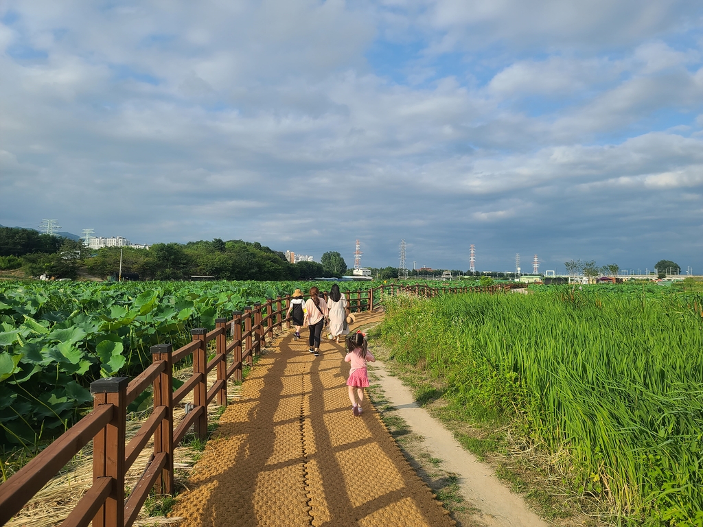 전국 최대 연 생산지 관광명소 변신…7년만에 도시재생 마무리