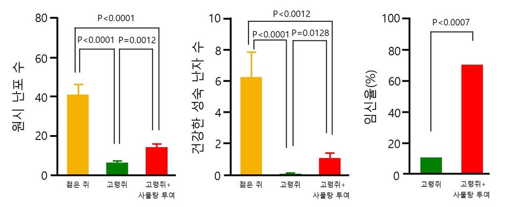 한약 처방 사물탕의 '난임 개선' 효능, 동물실험으로 입증